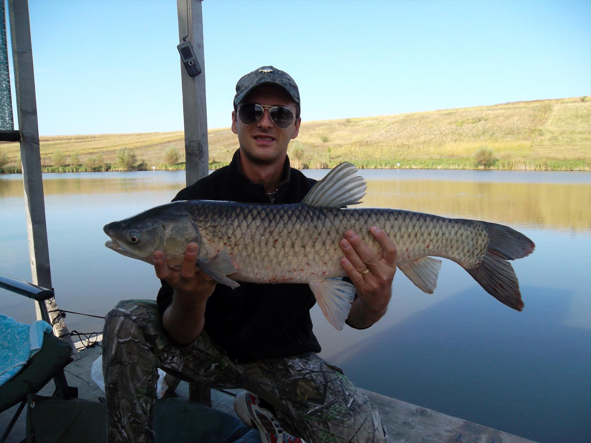 Diferite experiente - sam2623.JPG